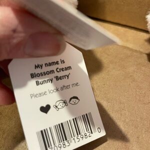 Jellycat Blossom Cream Bunny Berry